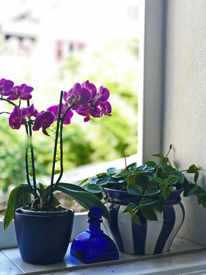 House Romeo Villa Piran Dış mekan fotoğraf